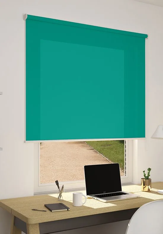 Tenda a rullo filtrante Colortex, colore Verde 117